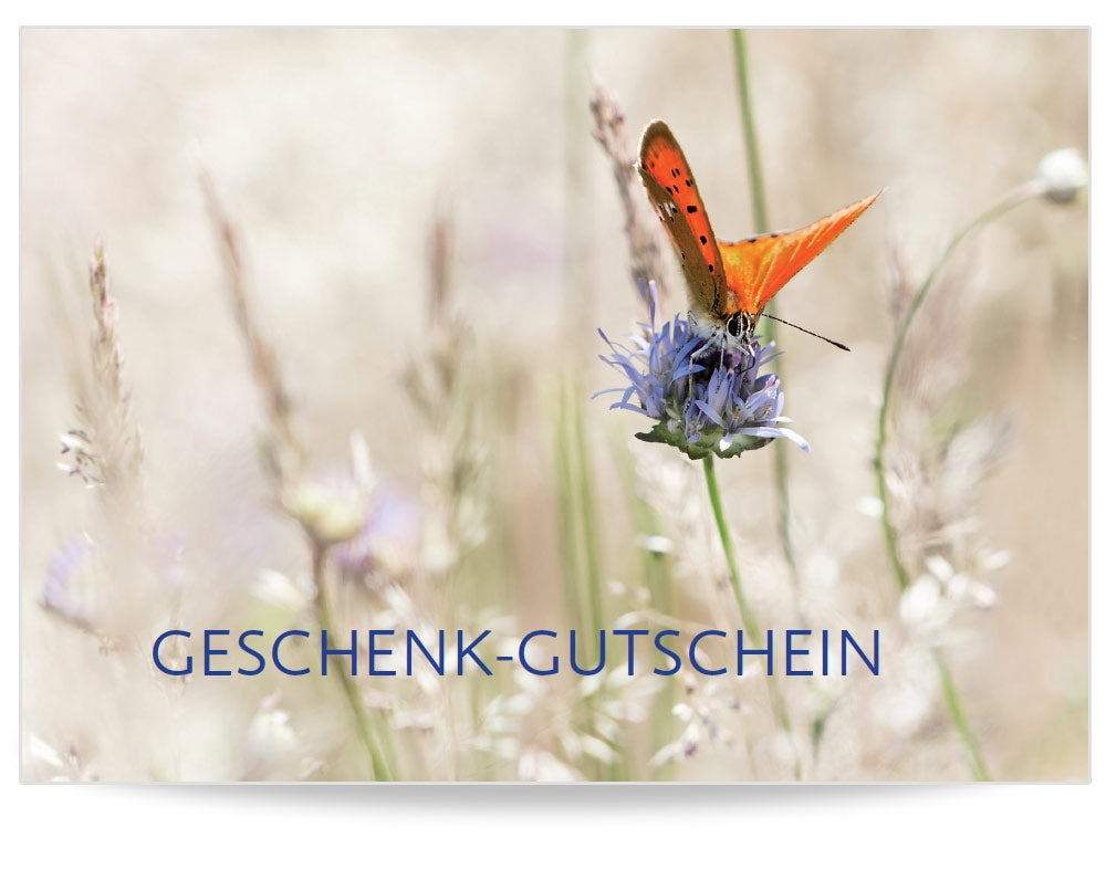 Geschenkgutschein Früher Schmetterling