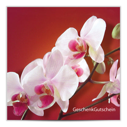 Geschenkgutschein Orchidee