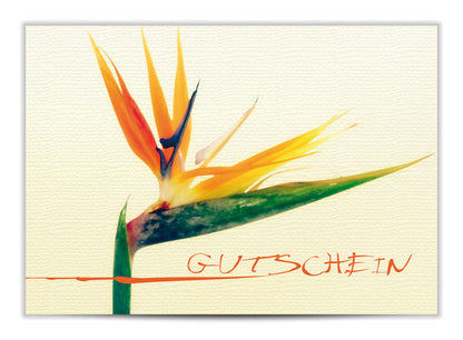 Geschenkgutschein Strelitzie