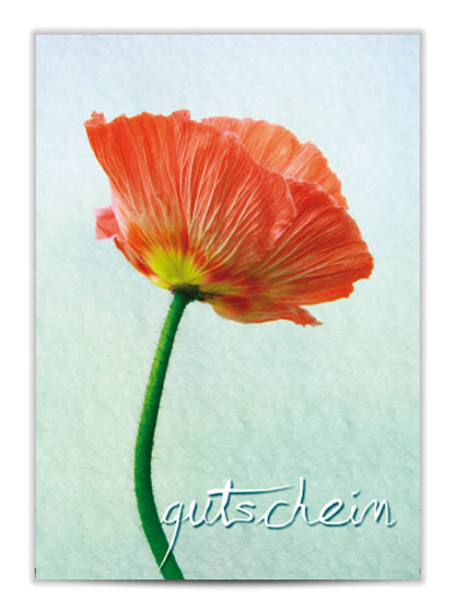 Geschenkgutschein Klatschmohn