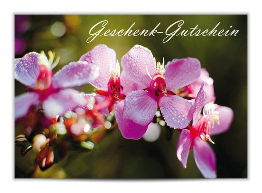 Geschenkgutschein Pink Orchidee
