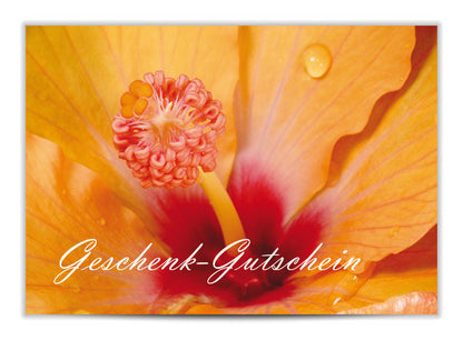 Geschenkgutschein Hibiscus